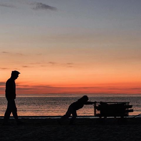 #balticsea #germany #beach #firewood #summer #vacation #family #nature #sunset